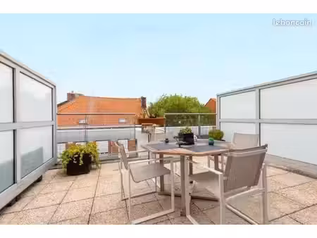 location meublée appartement 2 pièces tourcoing centre avec grande terrasse
