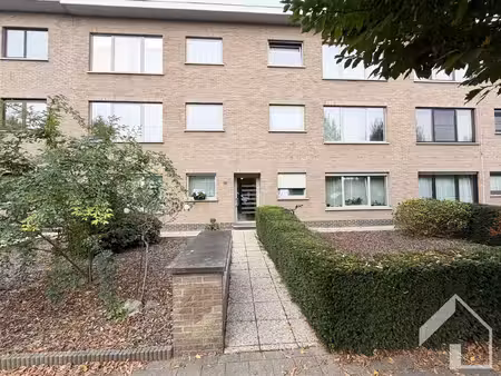 appartement te huur in wommelgem met 2 slaapkamers