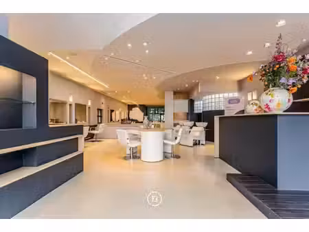 immeuble commercial polyvalent avec parking.