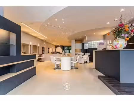 immeuble commercial polyvalent avec parking.