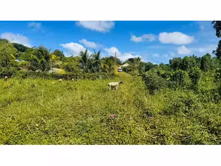terrain à vendre ducos 1866m2 120 000€