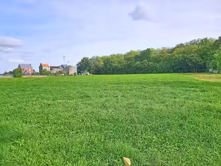 terrain résidentiel de 33,36 ares à lincent
