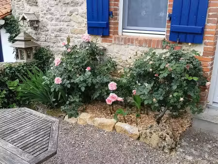 location logement indépendant