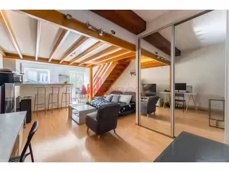 grand studio climatisé avec mezzanine, vue saône