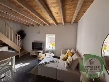 a louer charmant duplex à lentilly