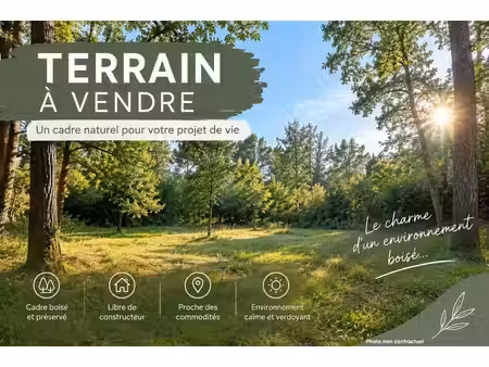 terrain constructible jard sur mer