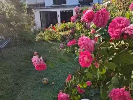 vente maison à nantes doulon - vieux doulon (44000) : à vendre / 137m² nantes doulon - vie