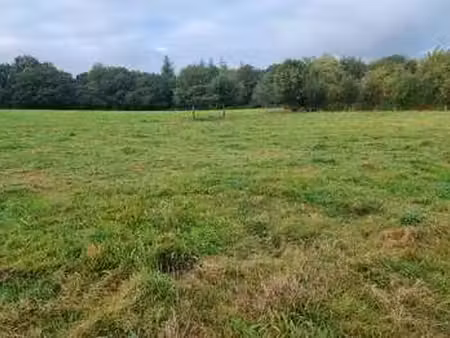 vente terrain à saint-brandan (22800) : à vendre / 1933m² saint-brandan