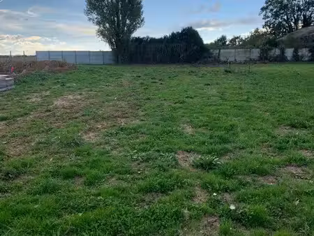 terrain constructible