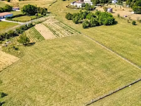 terrain constructible
