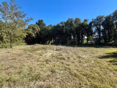 terrain constructible de 1 186 m² aux portes des alpilles