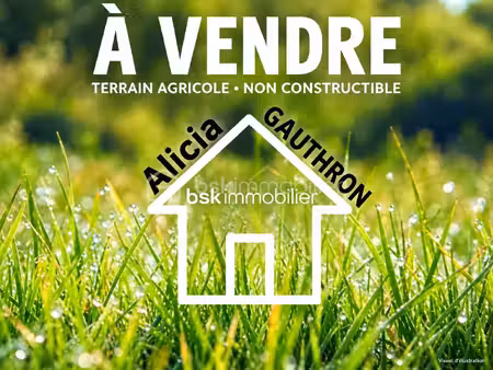 terrain agricole de 6 000 m² à villy-le-moutier