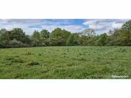 parcelle 1,5ha en nature - idéal pâturage, herbage