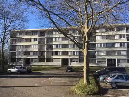 appartement de 63m2 à louer sur limoges