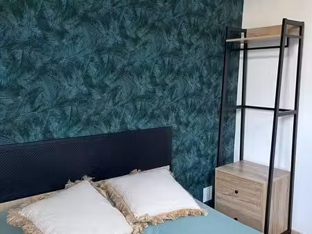agréable appartement en centre-ville de laval
