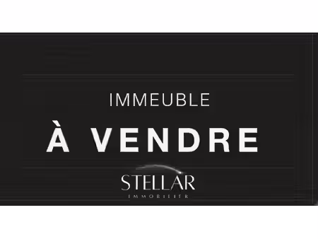 immeuble-saint-denis centre-ville – 329 m² avec cour, un pote