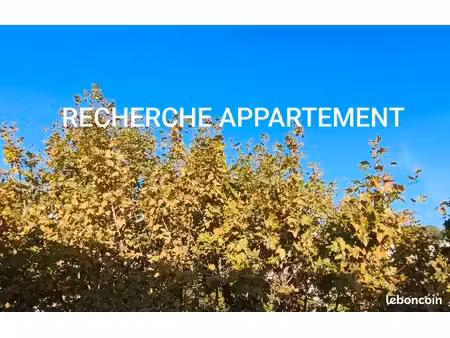 recherche appartement t3