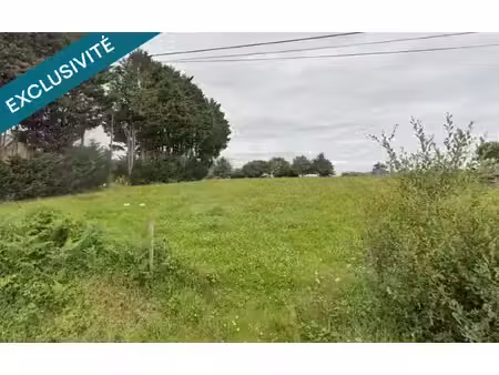 terrain constructible