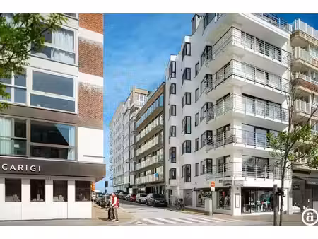 mooi appartement in het zoute op enkele stappen van de zeedijk