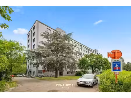 gerenoveerd appartement met zicht op de dijle in leuven
