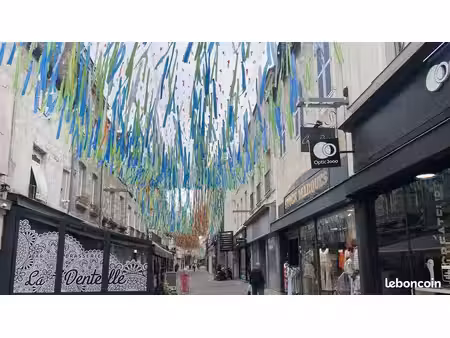 murs commerciaux a vendre