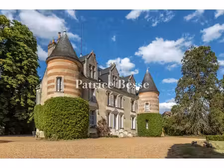 château à vendre à châteaudun