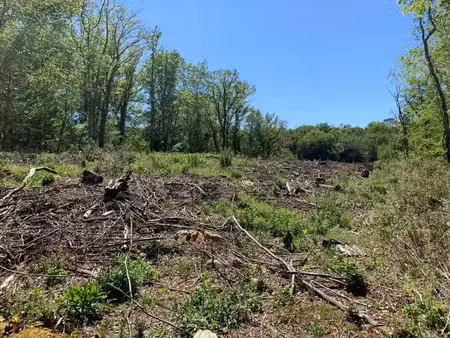 a vendre terrain constructible à saint cirq madelon