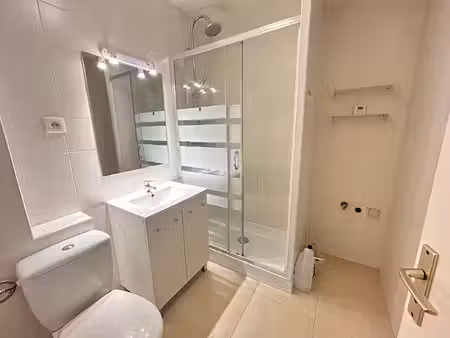 charmant appartement rénové en plein coeur de ville