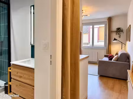 studio meublé entièrement rénové – dpe c – canal du midi