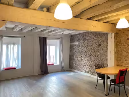 studio - orléans centre ville