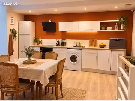 appartement souplex de 90m2 hypercentre dijon
