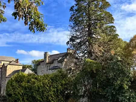 nouvoitou – maison de caractère d'environ 250 m² – 5 chambres – jardin arboré
