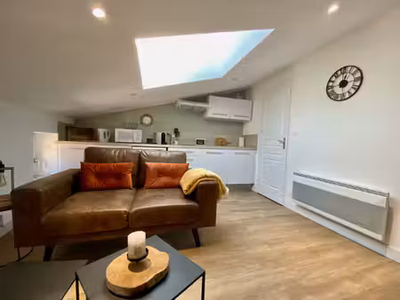 villeneuve sur lot, magnifique appartement meublé