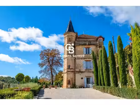 vente château 20 pièces