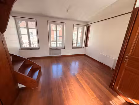 villeneuve-sur-yonne - charmant duplex de 30 m² - 1 chambre
