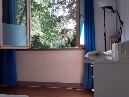 t3 meublé, lumineux, calme et spacieux, rdc immeuble en s de grenoble