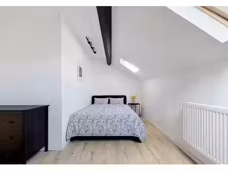 superbe appartement meublé 1 chambre
