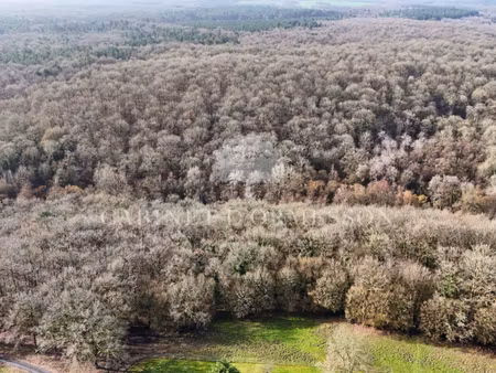 propriété à vendre à langeais