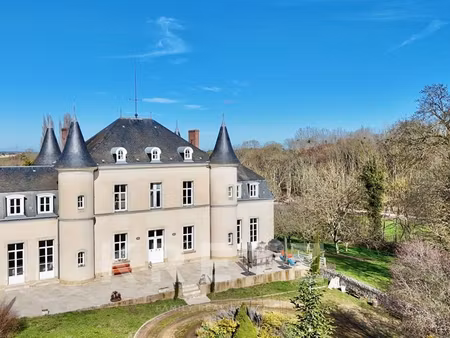 château à vendre à neuillé-pont-pierre