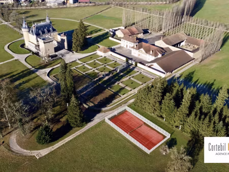 château à vendre à cornod