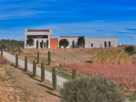 propriété viticole à vendre à montpeyroux