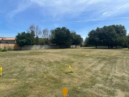 à vendre terrain à bâtir 1129 m2 muret (route d'eaunes)
