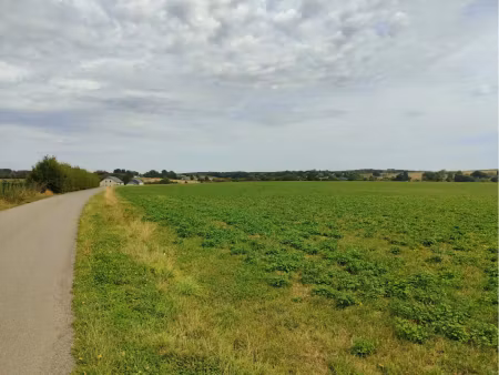 terrain agricole à vendre à champ des cailloux léglise (vbe64305)