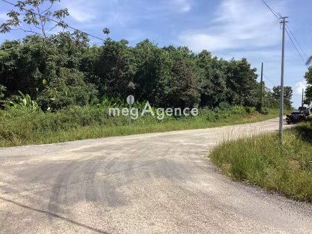 terrain constructible 10 000m2 commune de macouria.