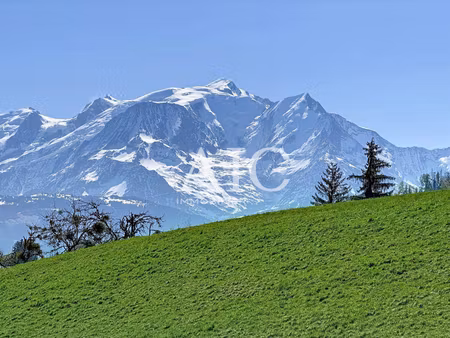 chalet à vendre
