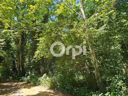 terrain montcourt-fromonville m² t- à vendre  14 000 €
