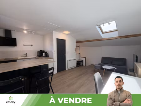 appartement 1 pièce - 29 m²