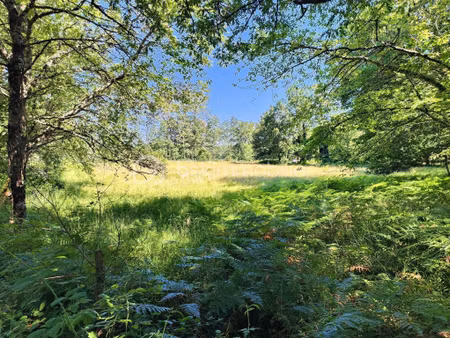 terrain de 3 934 m² à larzac