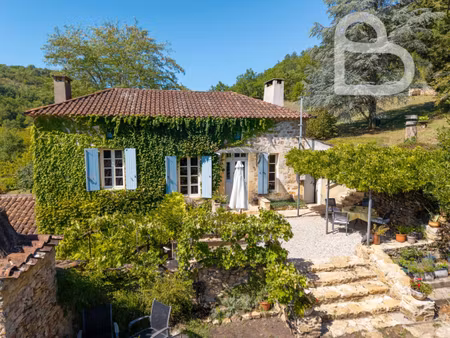propriété en pierre de caractère avec gîte et piscine