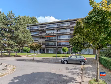modern  ruim appartement te hoboken